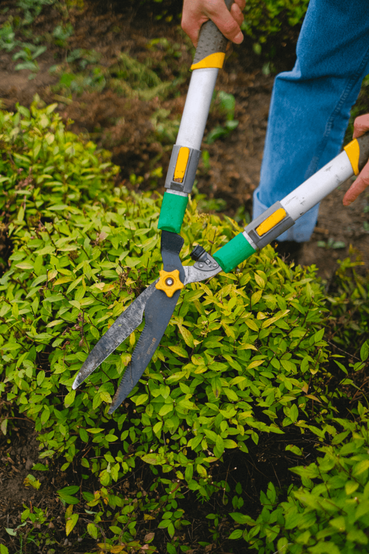 Brûler les déchets verts est nocif pour la santé et l'environnement